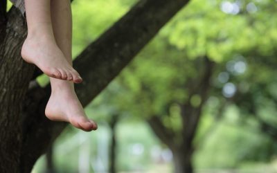 Quand la Récréation Devient le Nouveau Bureau : Pourquoi les Compétences Acquises dans la Cour de l’École Démodent le CV